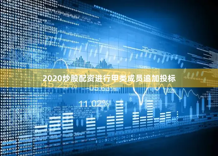 2020炒股配资进行甲类成员追加投标