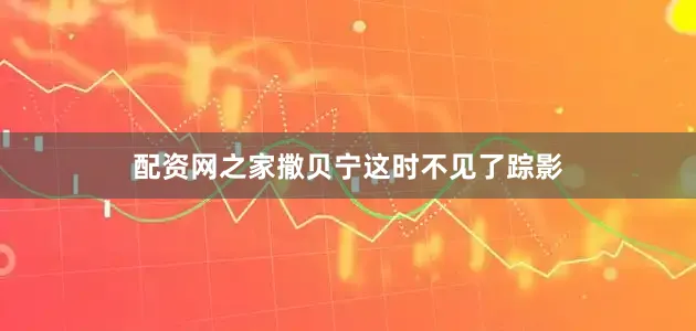 配资网之家撒贝宁这时不见了踪影
