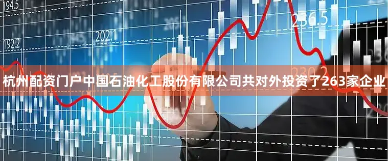 杭州配资门户中国石油化工股份有限公司共对外投资了263家企业