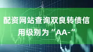 配资网站查询双良转债信用级别为“AA-”