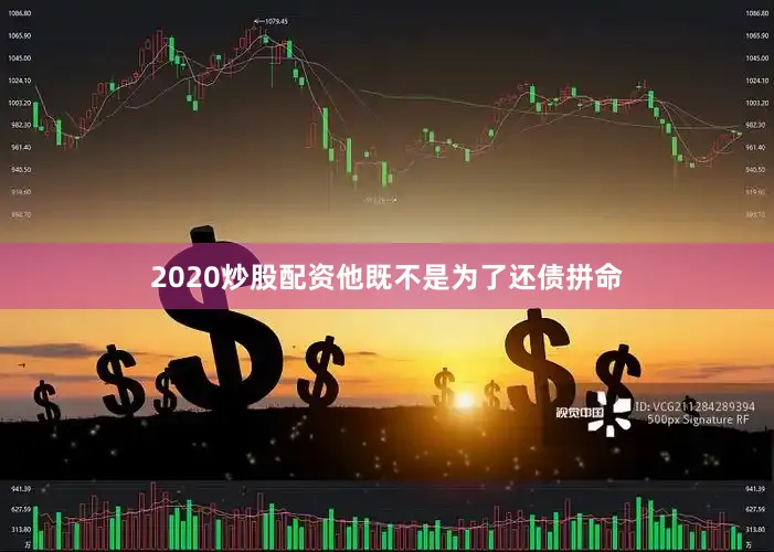 2020炒股配资他既不是为了还债拼命