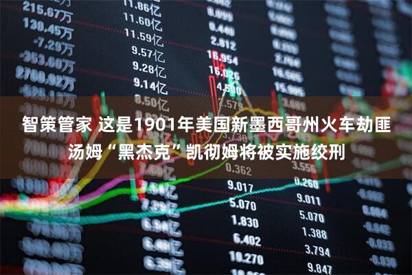 智策管家 这是1901年美国新墨西哥州火车劫匪汤姆“黑杰克”凯彻姆将被实施绞刑